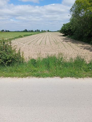 Działka rolna Zosinów Klotyldów. Zdjęcie 1