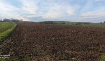 Działka budowlana Wiktorowice. Zdjęcie 1