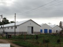 Hala/magazyn Stare Ślepce. Zdjęcie 3