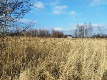 Działka budowlana Kopanka, ul. Kasztanowa. Zdjęcie 3