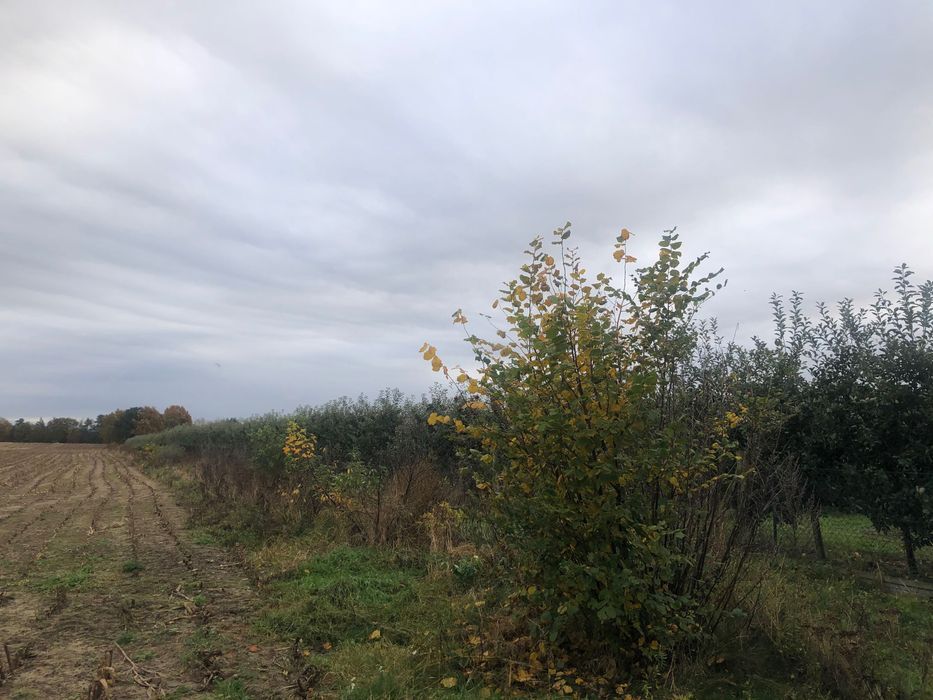 Działka budowlana Mochle. Zdjęcie 3