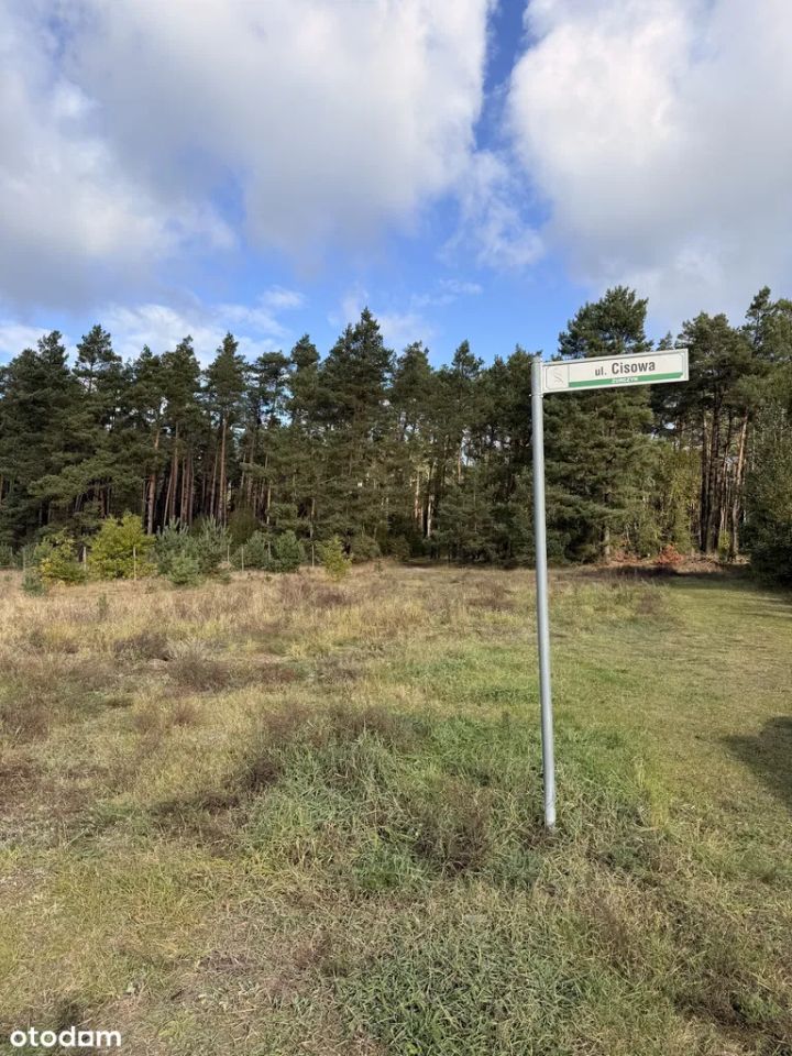 Działka budowlana Żurczyn, ul. Cisowa. Zdjęcie 6