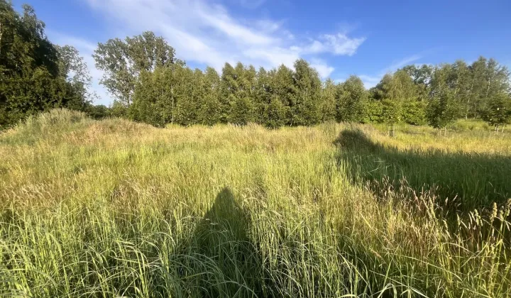 Działka budowlana Ruda Śląska Kochłowice, ul. Wirecka