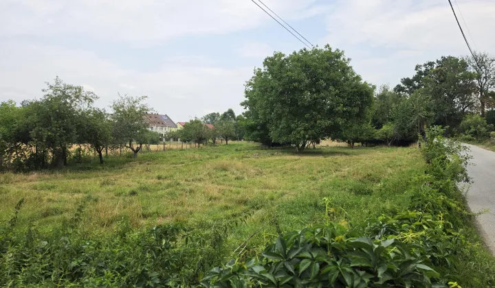 dom wolnostojący, 5 pokoi Gniewków