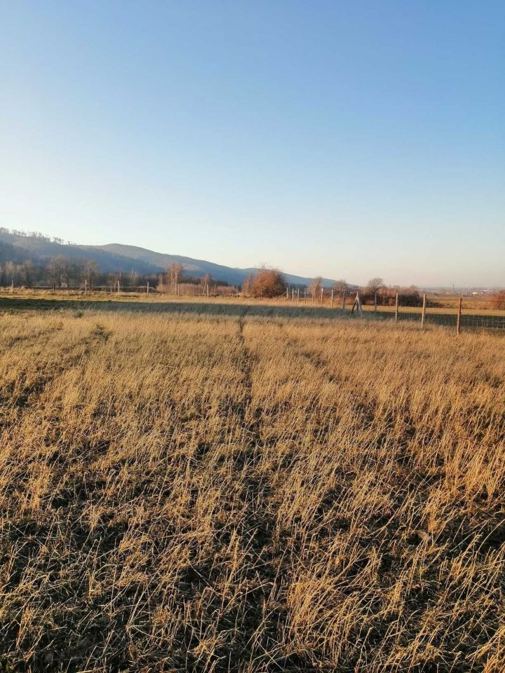 Działka budowlana Jodłownik. Zdjęcie 4