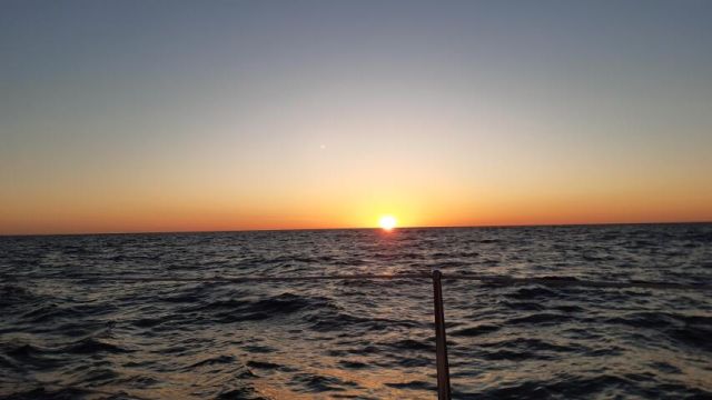 Działka inwestycyjna Grzybowo. Zdjęcie 1