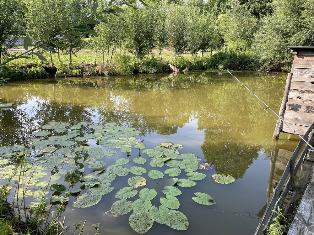 Działka rolna Opalenie, ul. Jabłoniowa. Zdjęcie 7