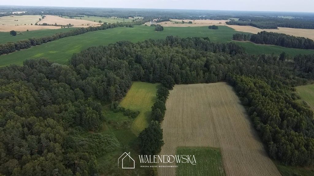 Działka leśna Pasieka. Zdjęcie 7