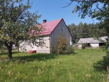 Działka siedliskowa Cisów. Zdjęcie 3