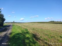 Działka budowlana Warlubie