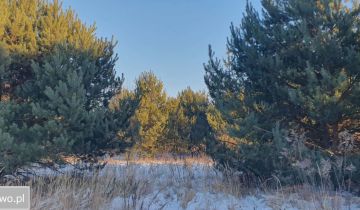 Działka budowlana Łochowo, ul. Władysława Reymonta