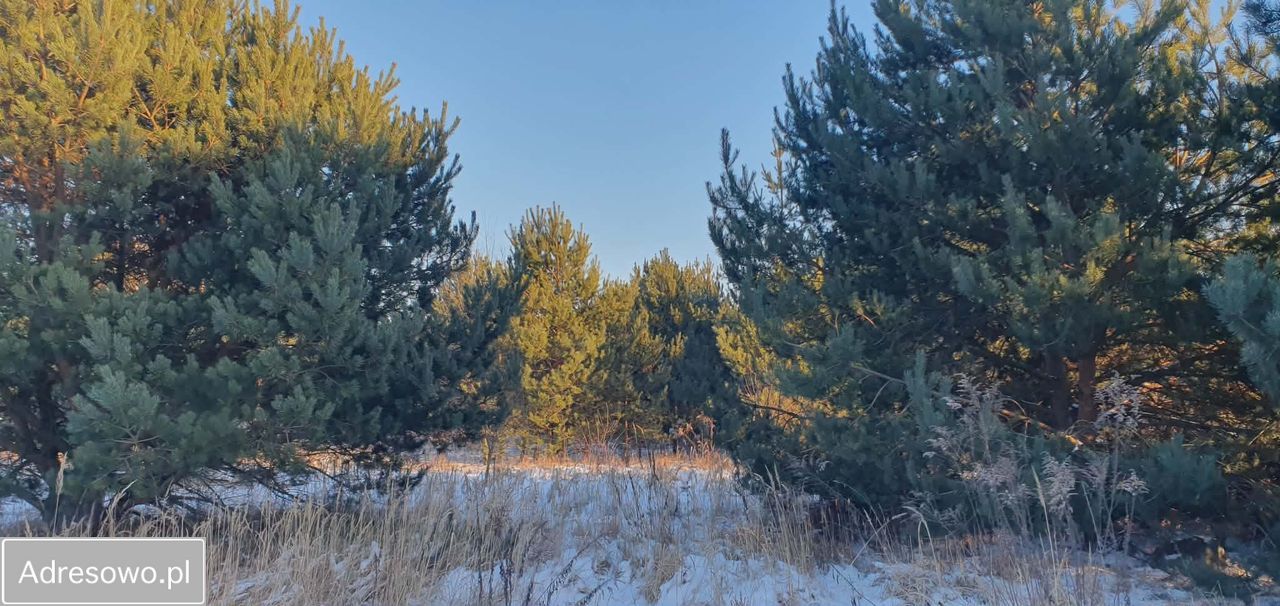 Działka budowlana Łochowo, ul. Władysława Reymonta