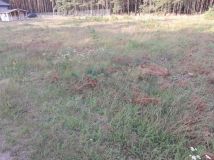Działka budowlana Lubiewice. Zdjęcie 3