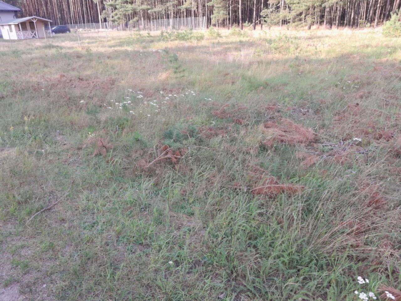 Działka budowlana Lubiewice. Zdjęcie 4