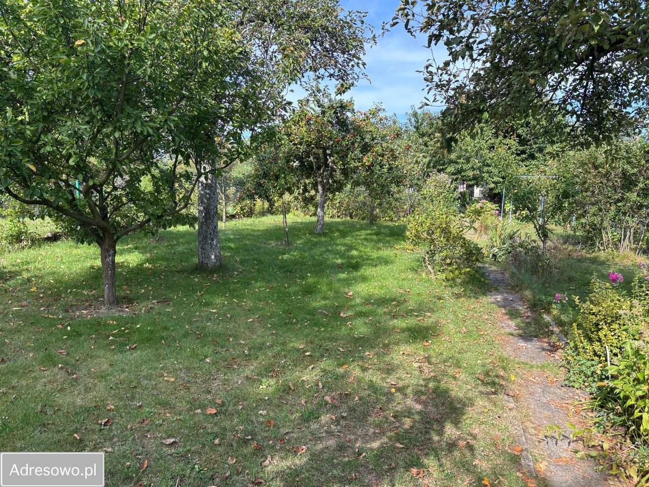 Działka rekreacyjna Sosnowiec Pogoń. Zdjęcie 10