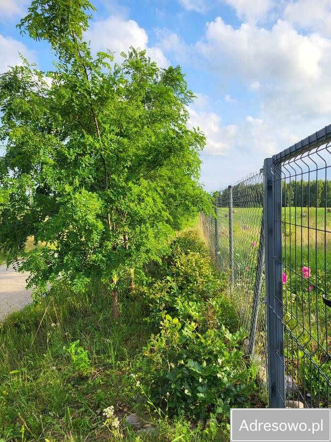 Działka budowlana Elganowo. Zdjęcie 9