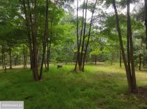 Działka rekreacyjna Wądzyn. Zdjęcie 2