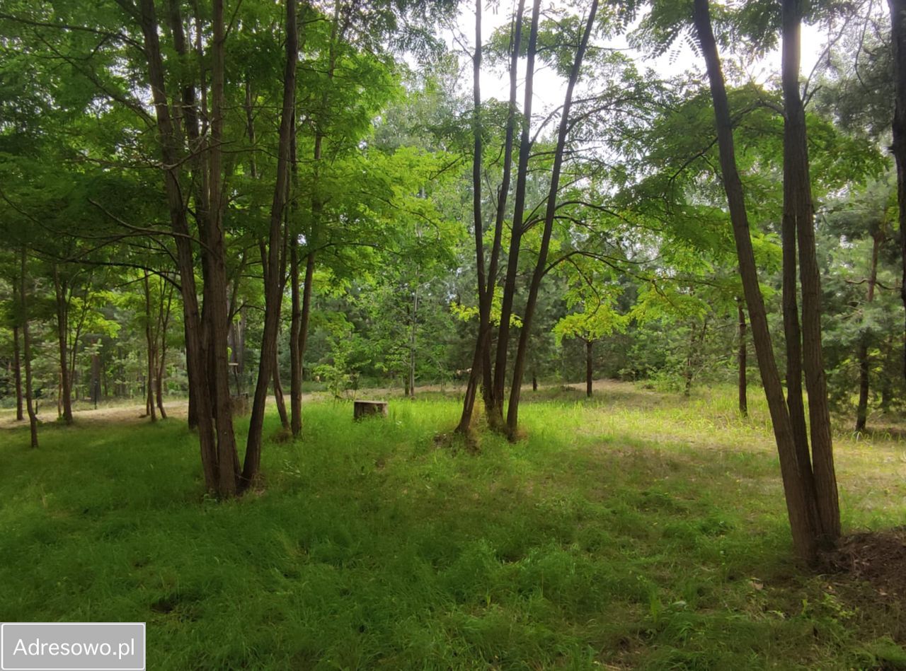 Działka rekreacyjna Wądzyn. Zdjęcie 3