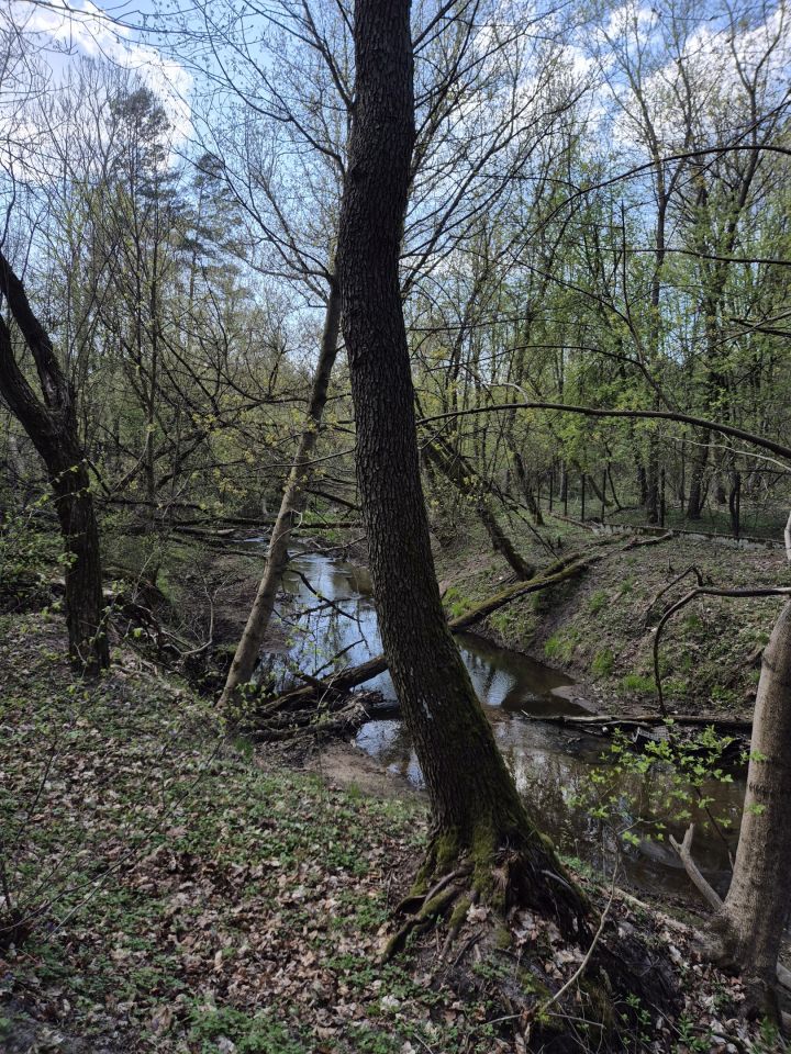 Działka budowlana Józefów, ul. Mieni. Zdjęcie 13