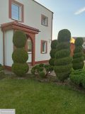 dom wolnostojący, 5 pokoi Mechowo, ul. Floriana Ceynowy. Zdjęcie 1