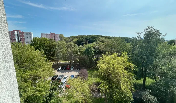 Mieszkanie 2-pokojowe Warszawa Bielany, ul. Zbigniewa Romaszewskiego