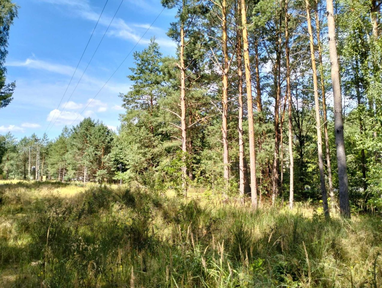 Działka budowlana Łośno. Zdjęcie 8