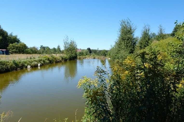 Działka budowlana Emilcin. Zdjęcie 2