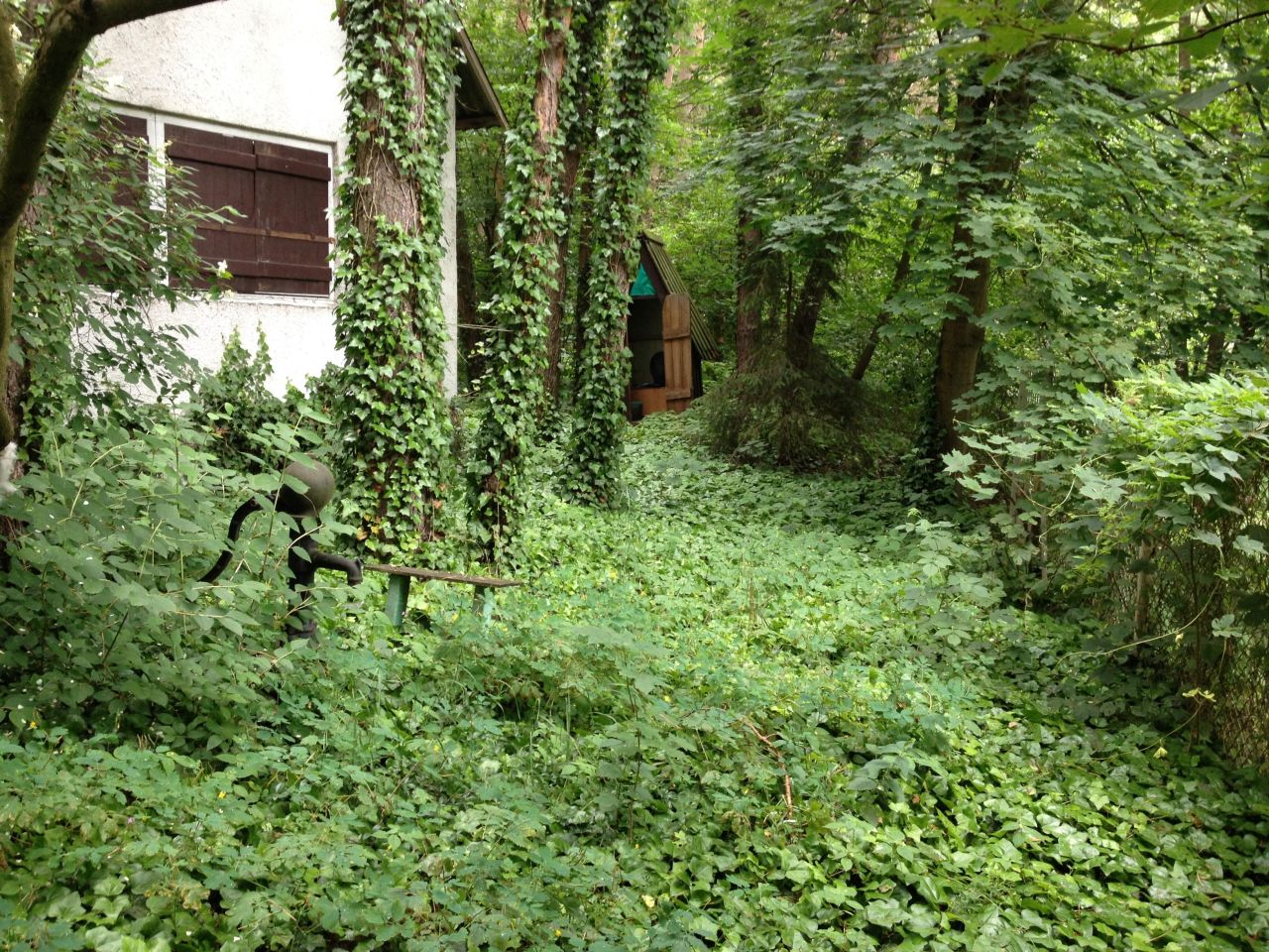 siedlisko, 3 pokoje Osieck. Zdjęcie 2