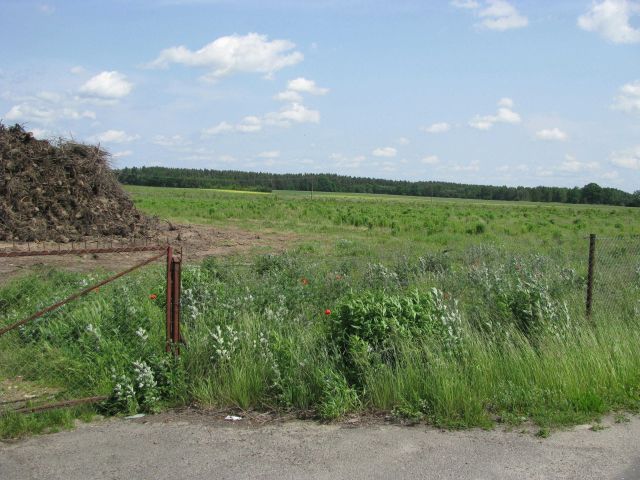 Działka rolna Chróstnik. Zdjęcie 1