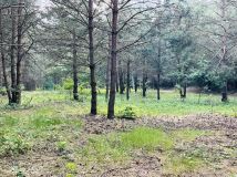 Działka budowlana Anielin. Zdjęcie 4