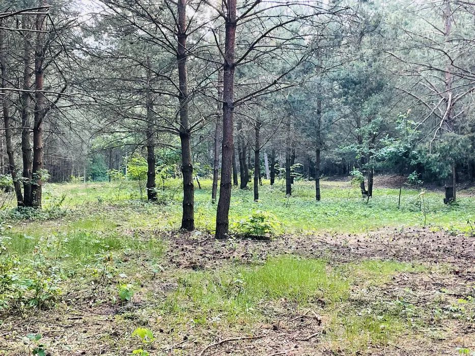 Działka budowlana Anielin. Zdjęcie 5