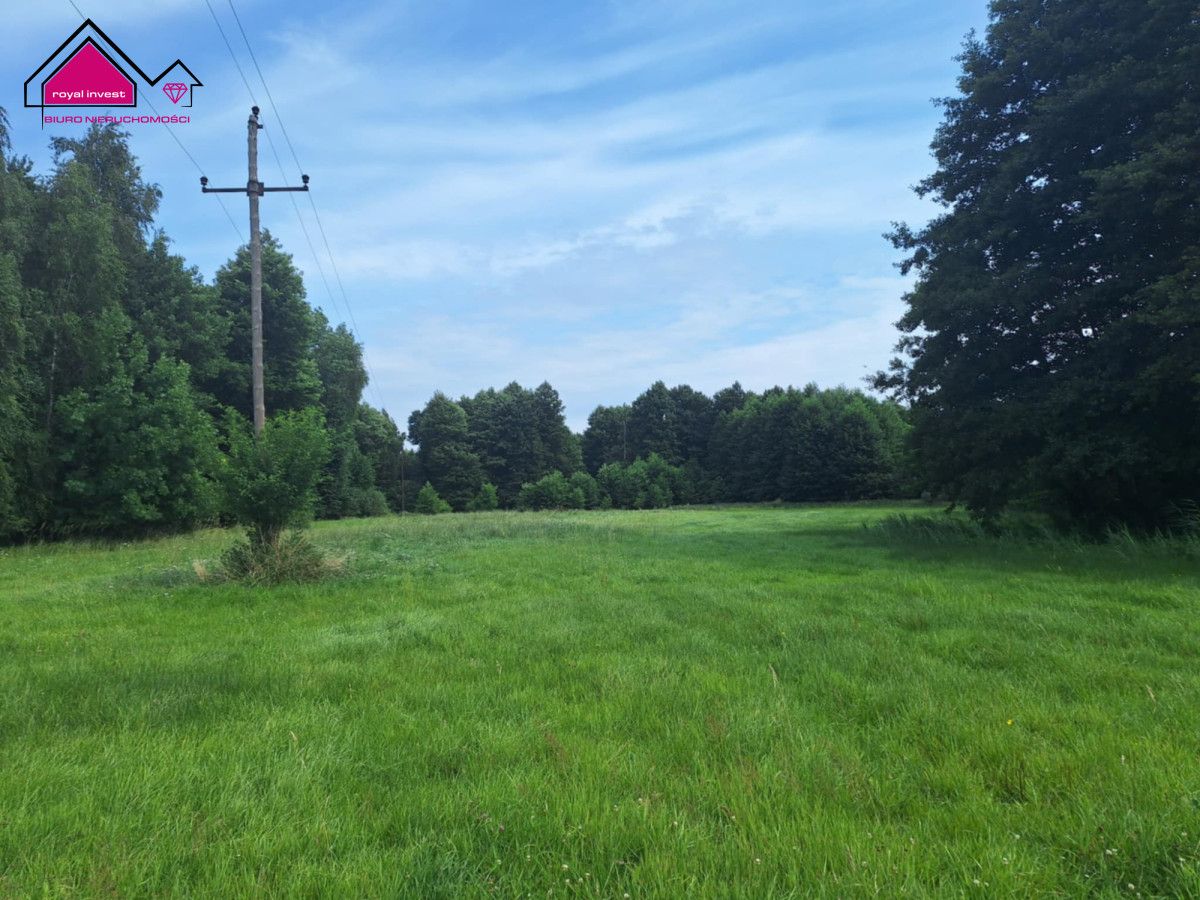 Działka rolna Kępa. Zdjęcie 2