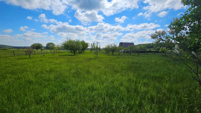 Działka rolna Nowa Wieś Wielka. Zdjęcie 1