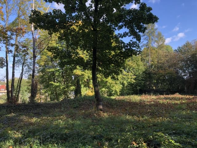 Działka budowlana Kraków Zwierzyniec, al. Jerzego Waszyngtona. Zdjęcie 4