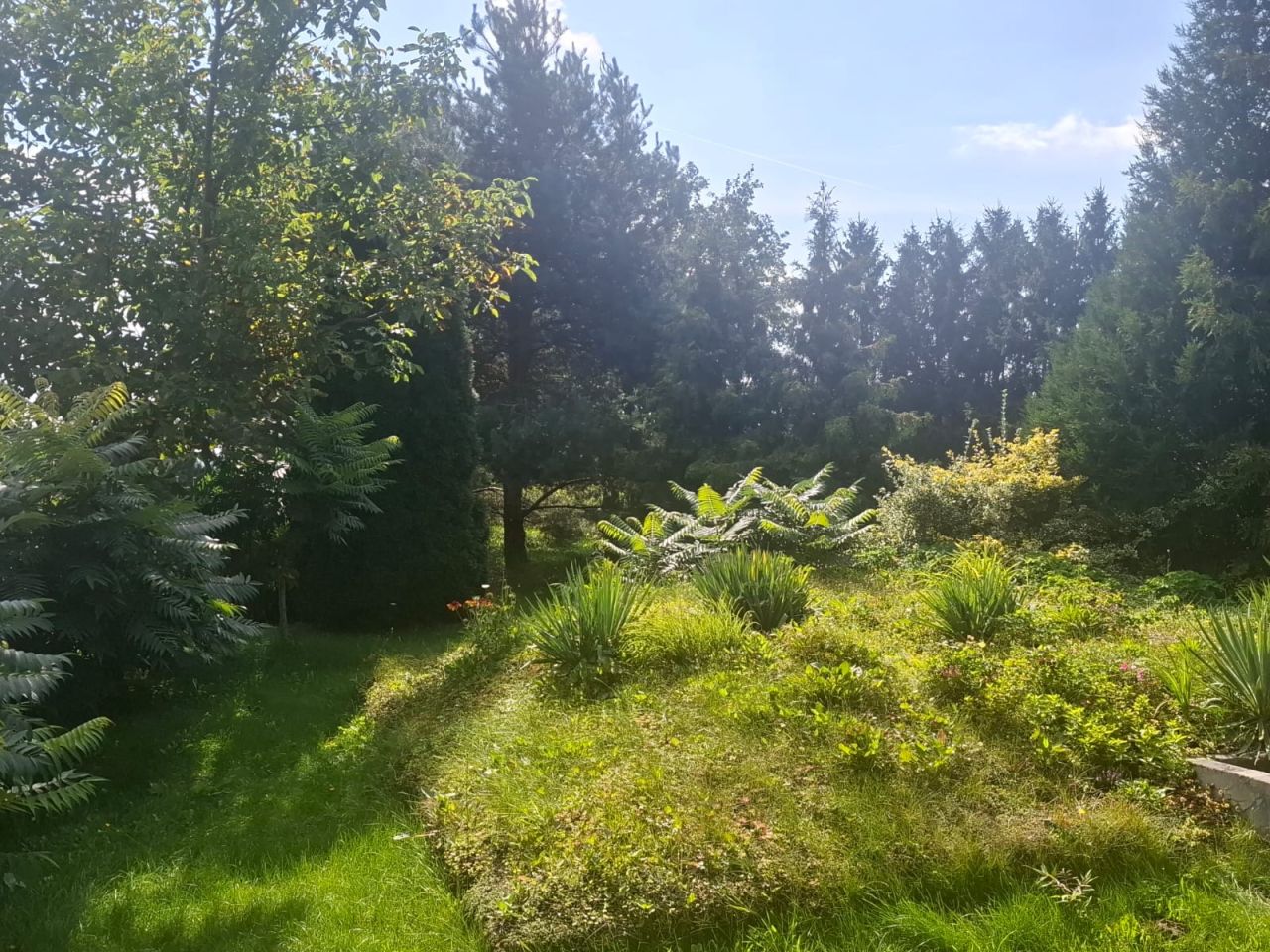 Działka budowlana Przystajnia. Zdjęcie 4