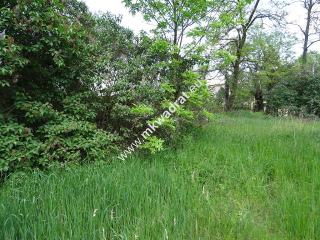 Działka budowlana Waleriany. Zdjęcie 6