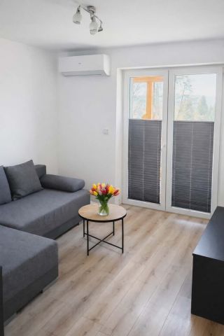 Mieszkanie 2-pokojowe Brzyczyna. Zdjęcie 1