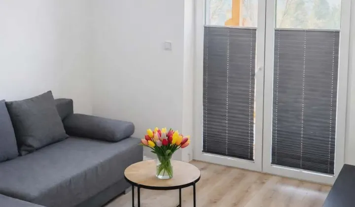 Mieszkanie 2-pokojowe Brzyczyna