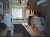 Pokój Warszawa Śródmieście, ul. Dzika