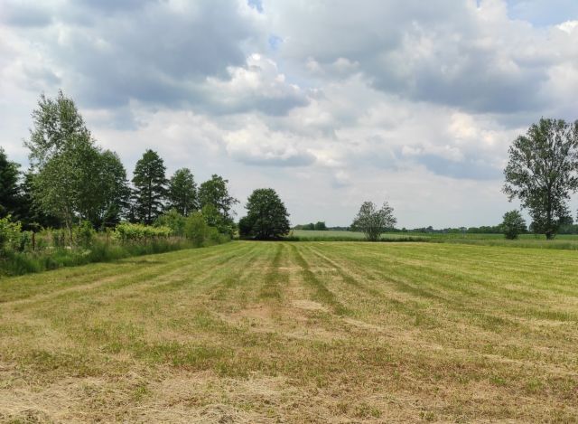 Działka rolno-budowlana Besiekierz Nawojowy. Zdjęcie 1