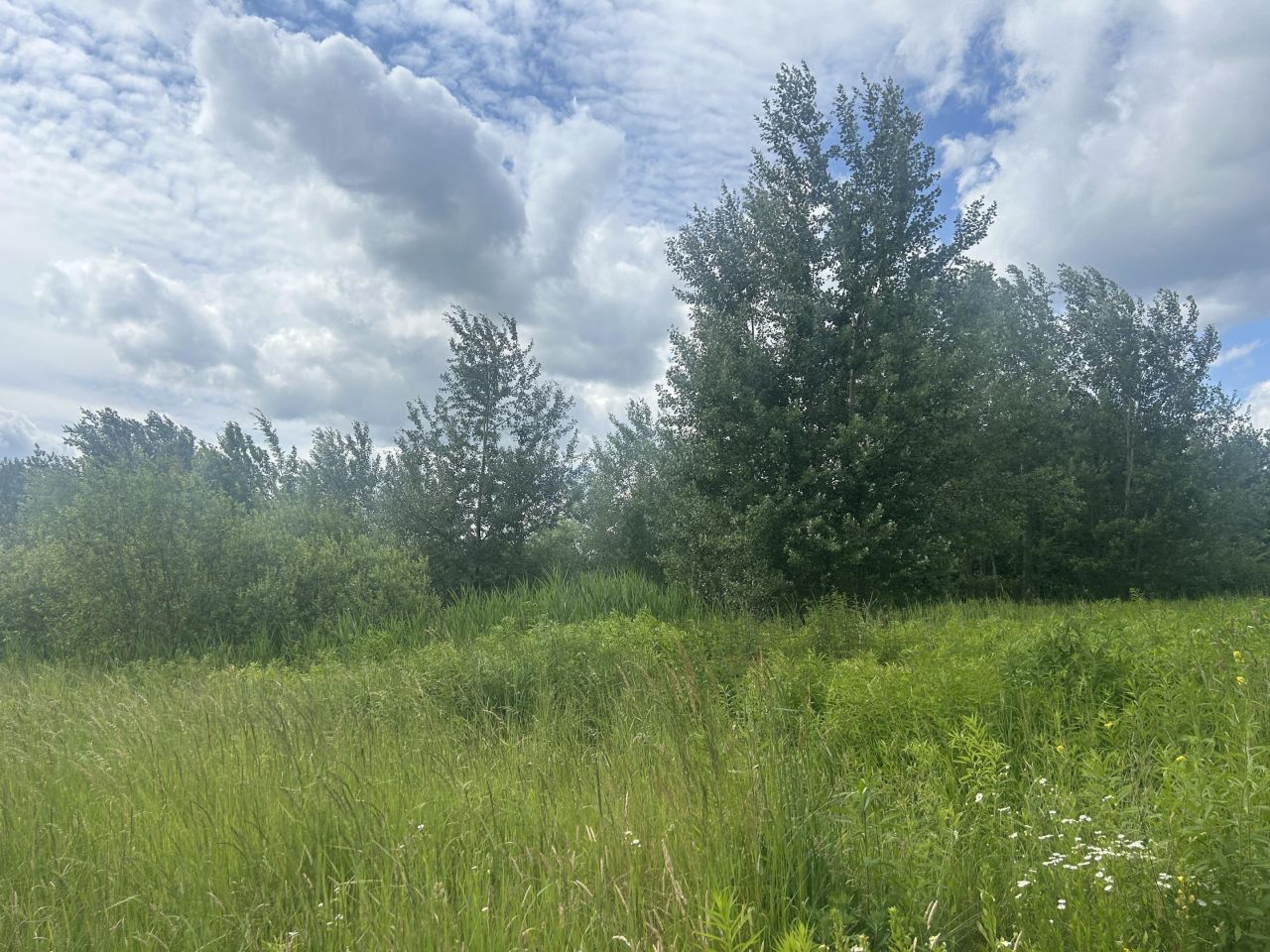 Działka budowlana Stare Babice, ul. Izabelińska. Zdjęcie 6