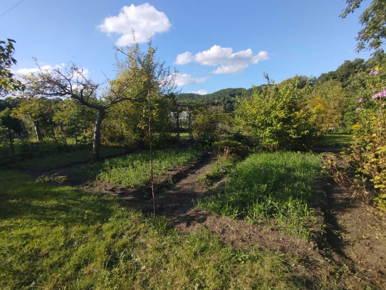 Działka rod Wejherowo, ul. Nadrzeczna. Zdjęcie 6