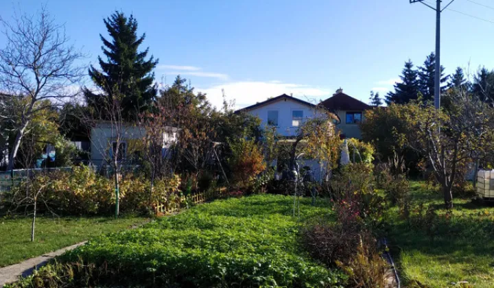 Działka rod Gdańsk Olszynka, ul. Goździkowa