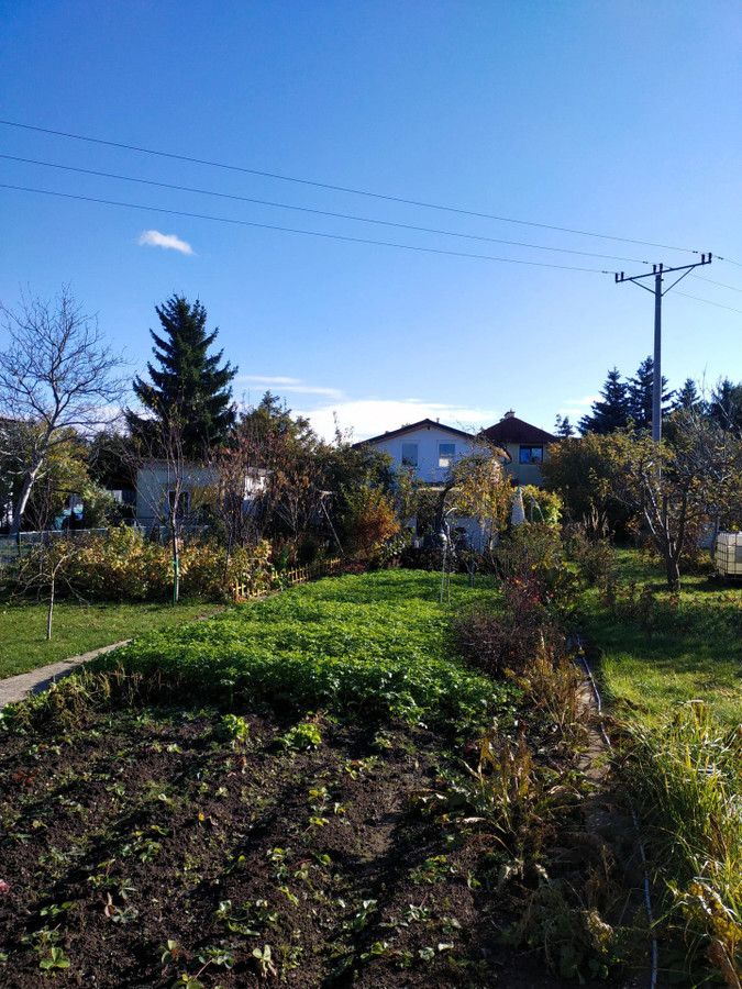 Działka rod Gdańsk Olszynka, ul. Goździkowa