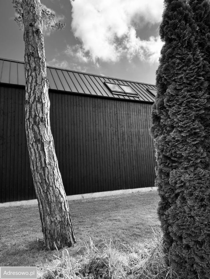 Mieszkanie 3-pokojowe Dziwnówek. Zdjęcie 6