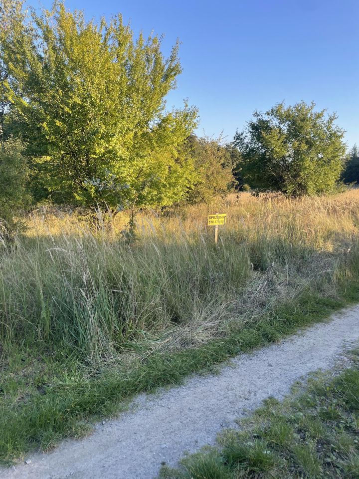 Działka budowlana Banie, ul. Baniewicka. Zdjęcie 5