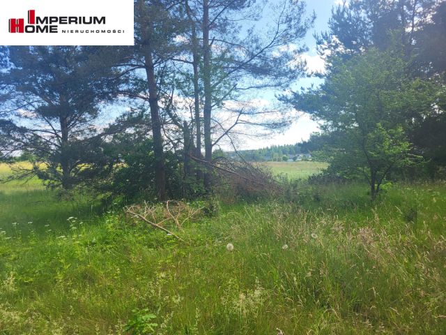 Działka budowlana Leśniewo, ul. Wrzosowa. Zdjęcie 12