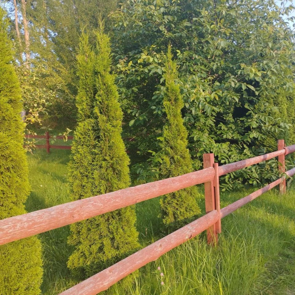 Działka rod Mrągowo. Zdjęcie 6