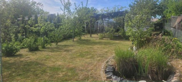 Działka rod Pełczyce. Zdjęcie 1