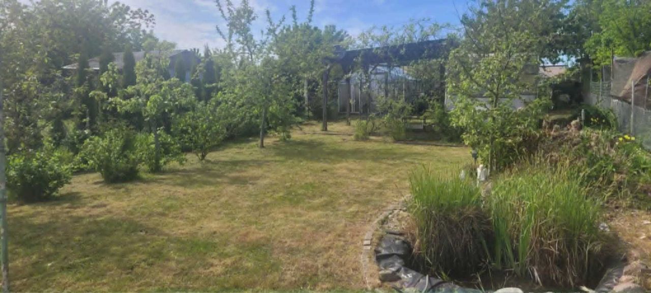 Działka rod Pełczyce. Zdjęcie 1